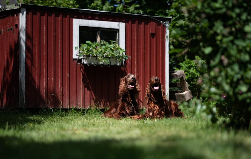Rustic Barn Venue 2