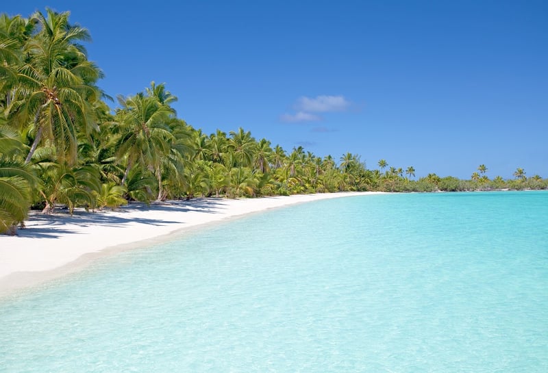 Tropical Wedding Beach